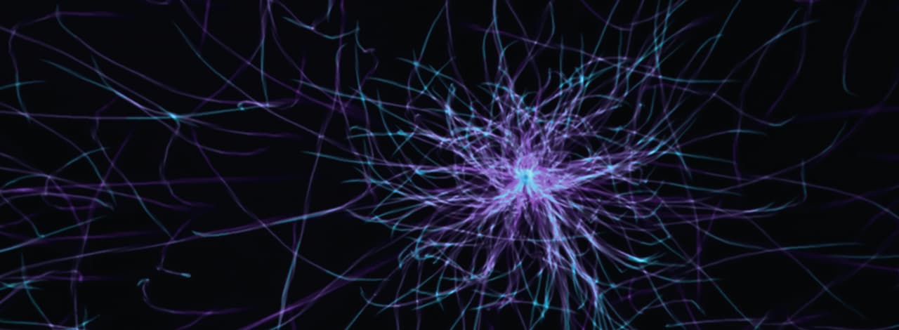 Business Automation and Artificial Intelligence Systems Integration