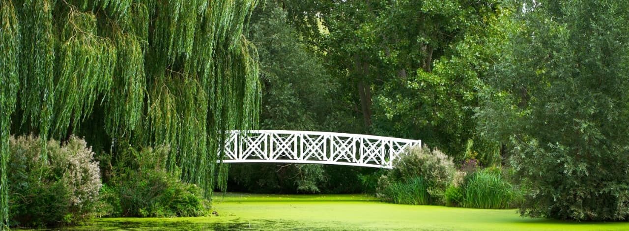 Website development inSt Neots